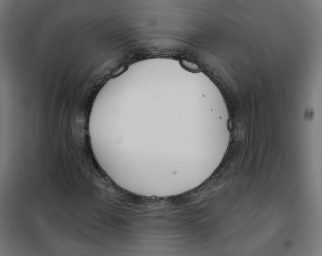 X0000101181108200807250933