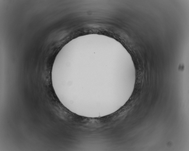 X0000101181109200807250933