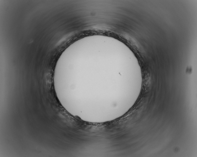 X0000101181110200807250933