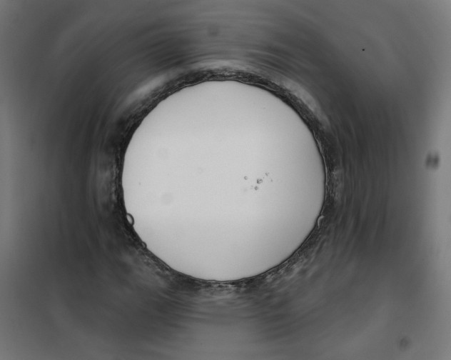 X0000101181111200807250933