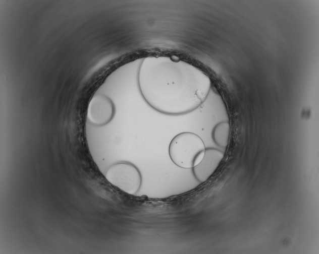 X0000101181112200807250933