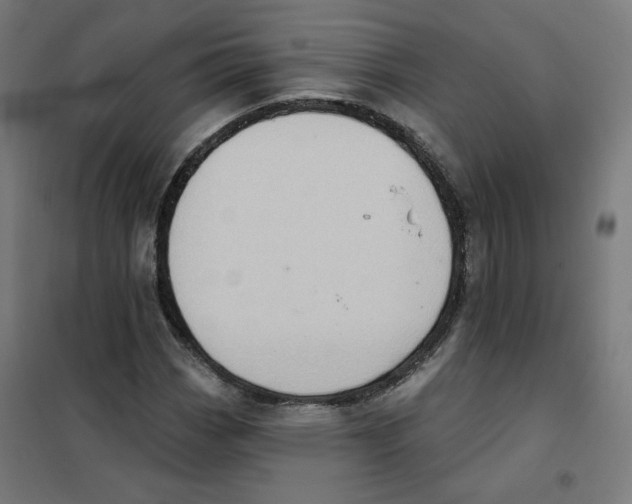 X0000101181113200807250933