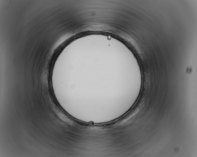 X0000101181114200807250933