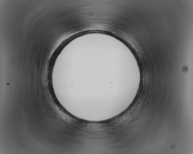 X0000101181116200807250933