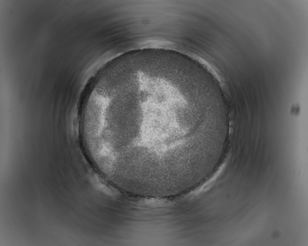 X0000101181117200807250933