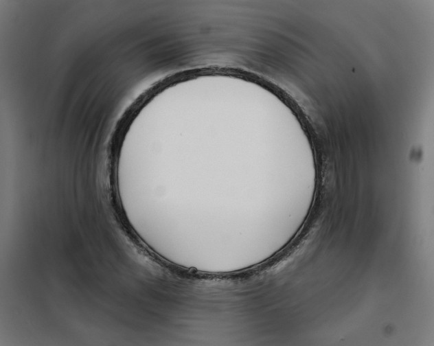 X0000101181118200807250933