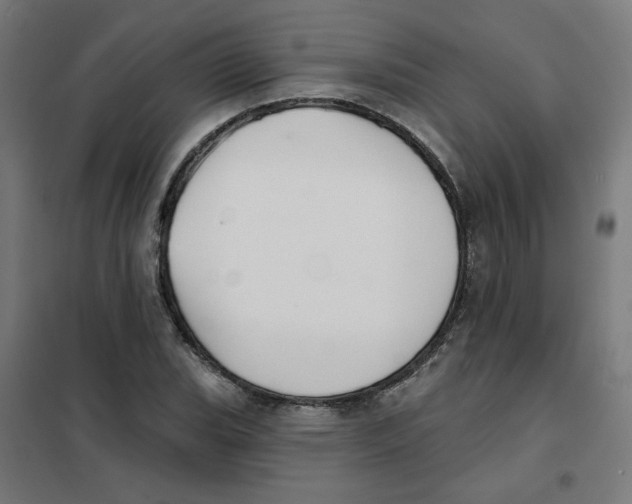 X0000101181119200807250933