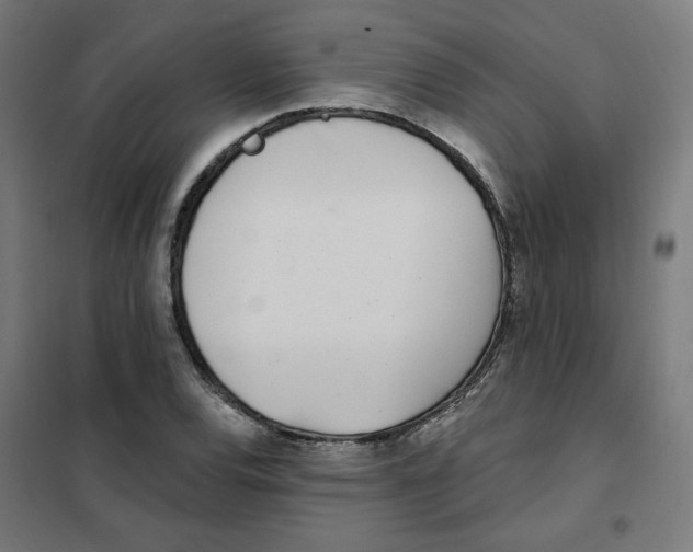 X0000101181120200807250933