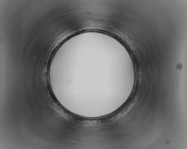 X0000101181121200807250933