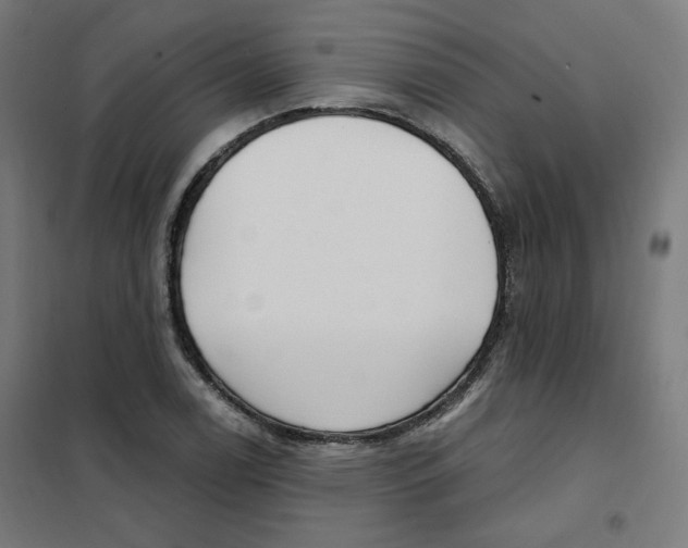 X0000101181122200807250933