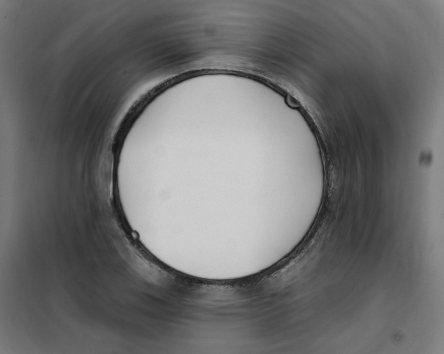 X0000101181123200807250933