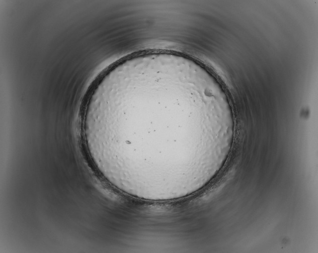 X0000101181125200807250933