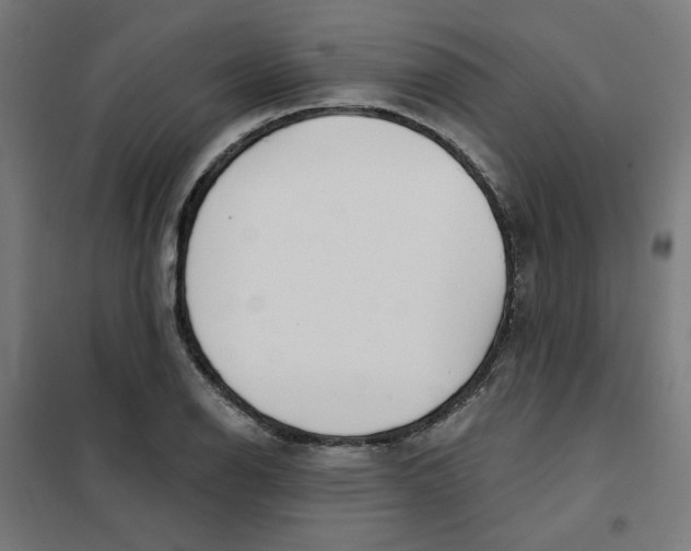 X0000101181126200807250933