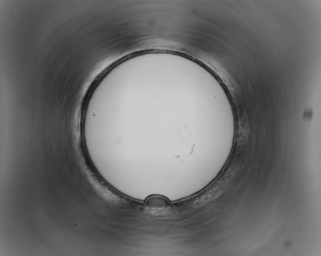 X0000101181128200807250933