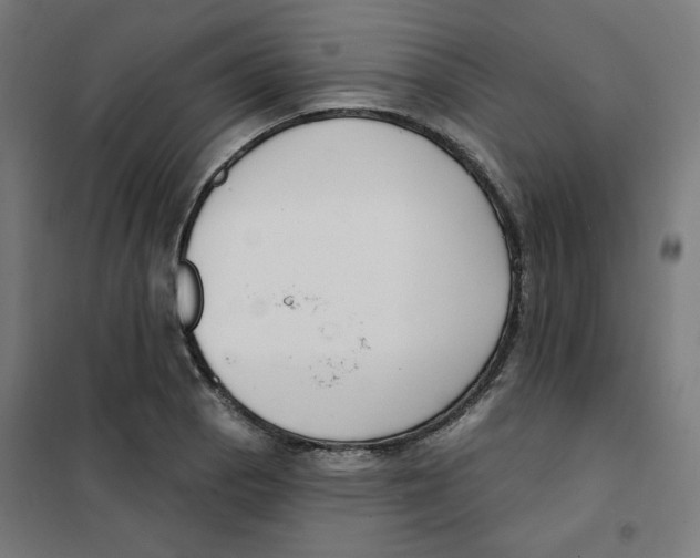 X0000101181129200807250933