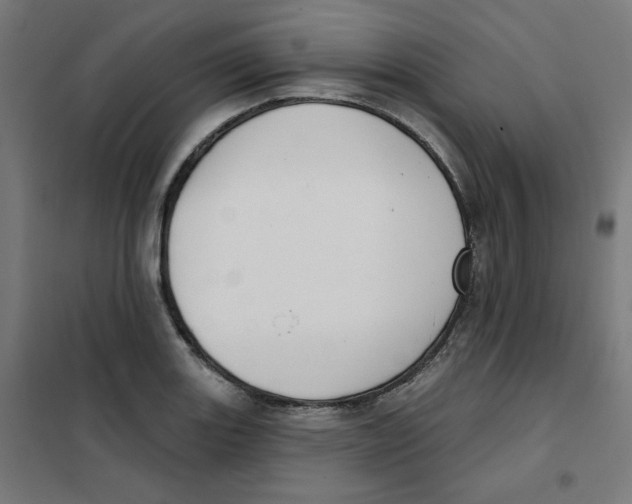 X0000101181131200807250933