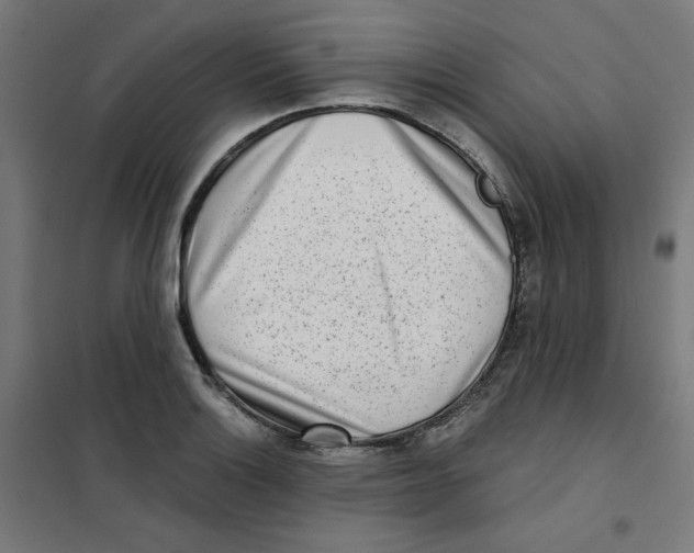 X0000101181132200807250933