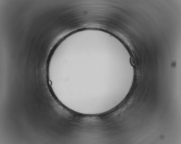 X0000101181133200807250933