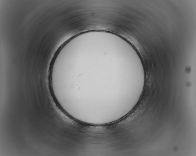 X0000101181135200807250933