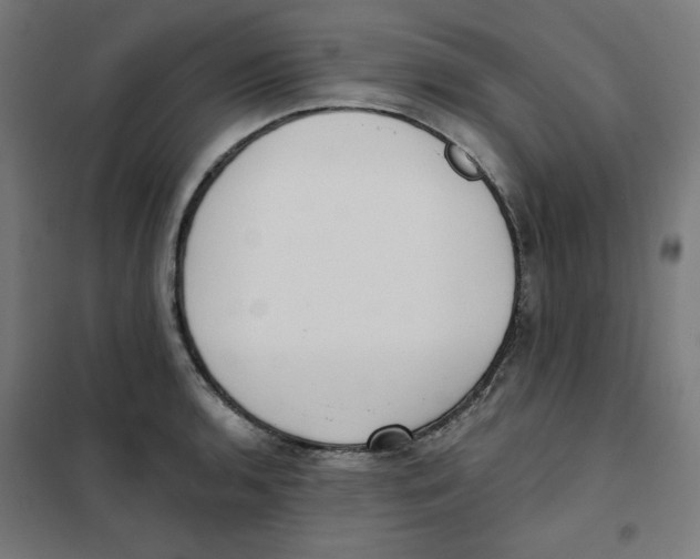 X0000101181136200807250933