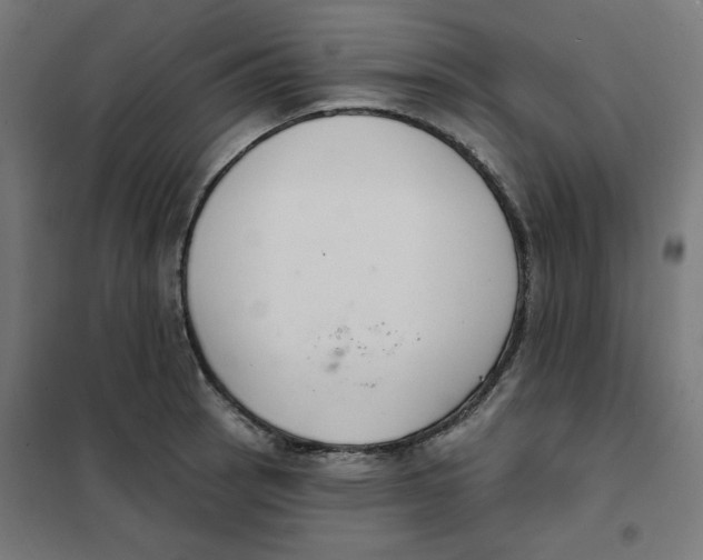 X0000101181137200807250933