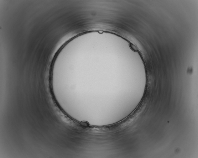 X0000101181138200807250933