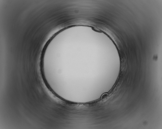 X0000101181139200807250933