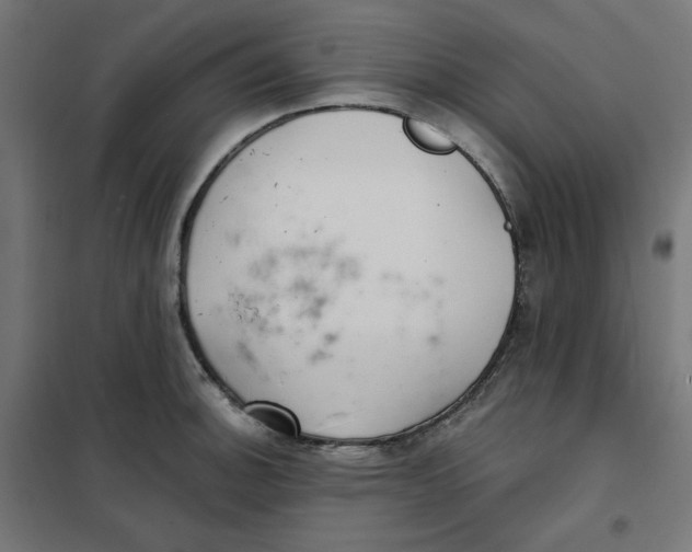 X0000101181140200807250933