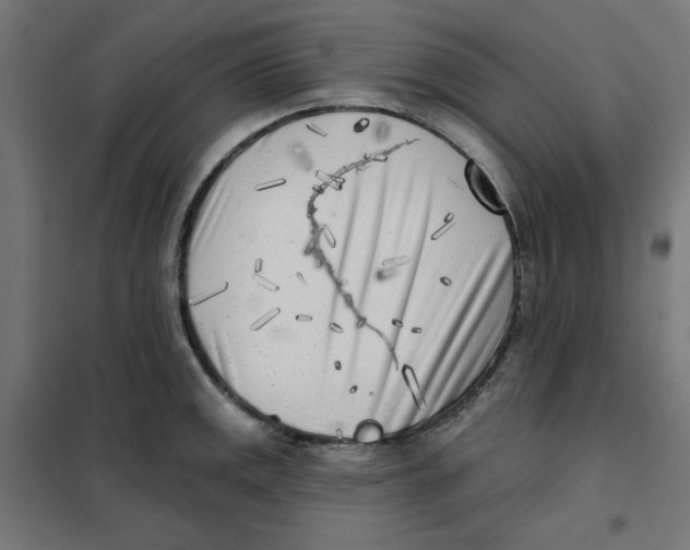 X0000101181141200807250933