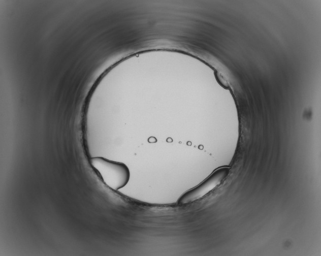 X0000101181142200807250933