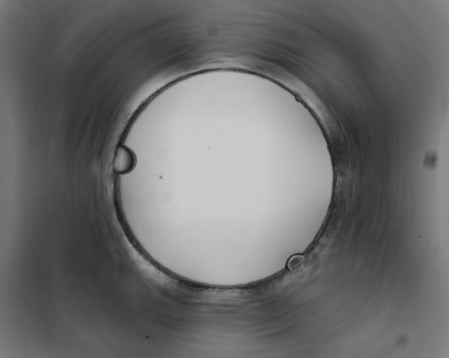 X0000101181143200807250933