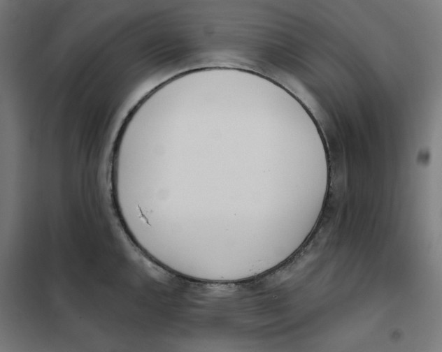 X0000101181144200807250933