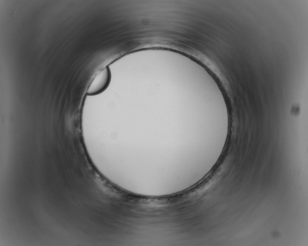 X0000101181145200807250933