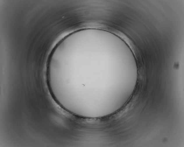 X0000101181147200807250933