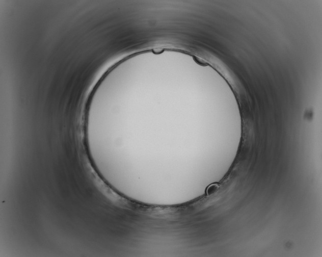 X0000101181148200807250933