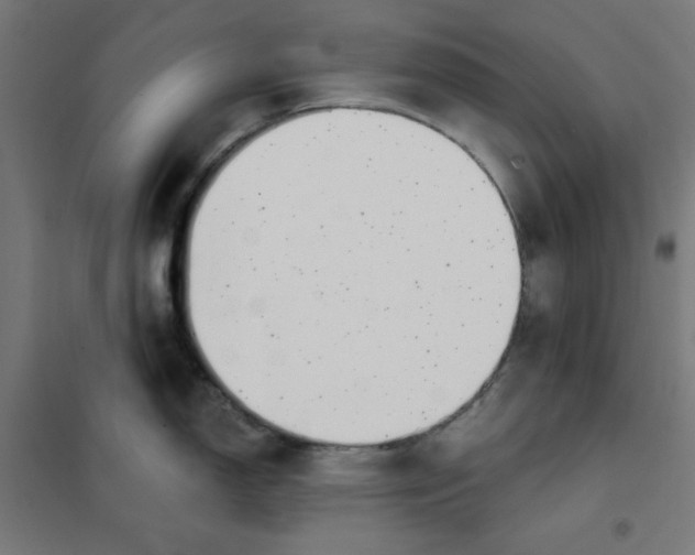 X0000101181150200807250934