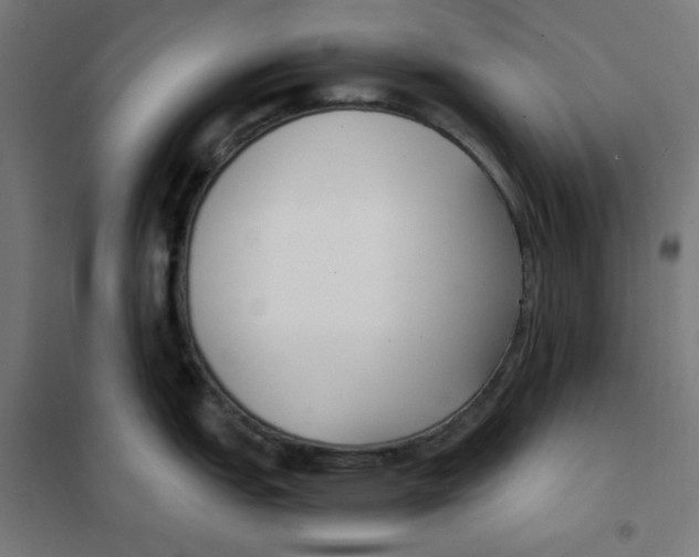 X0000101181151200807250934