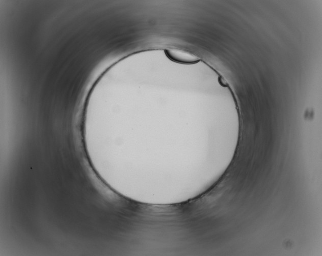 X0000101181152200807250934