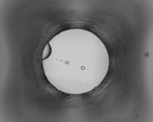 X0000101181153200807250933