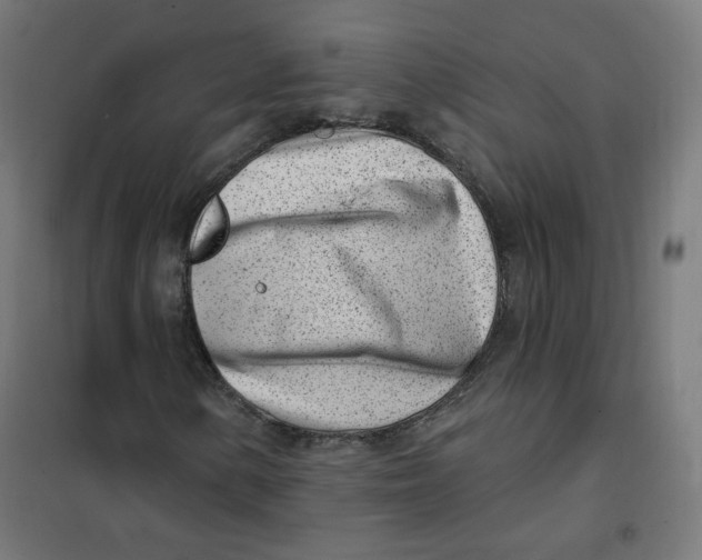 X0000101181154200807250933