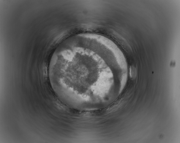 X0000101181155200807250933