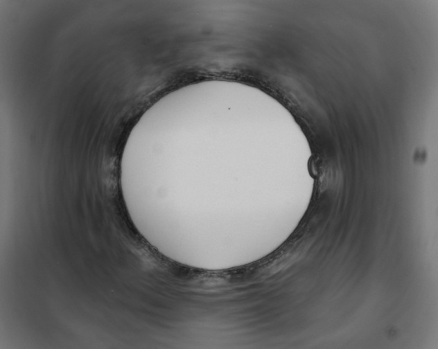 X0000101181156200807250933