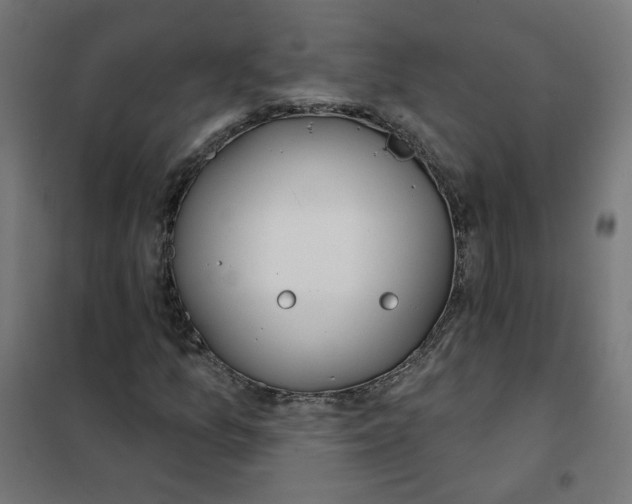 X0000101181157200807250933