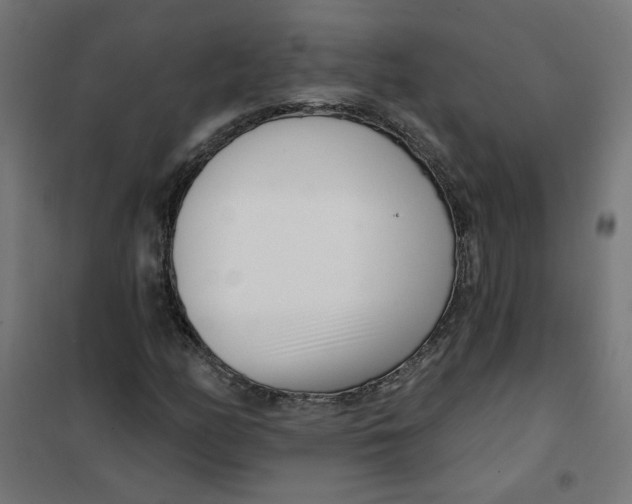 X0000101181158200807250933