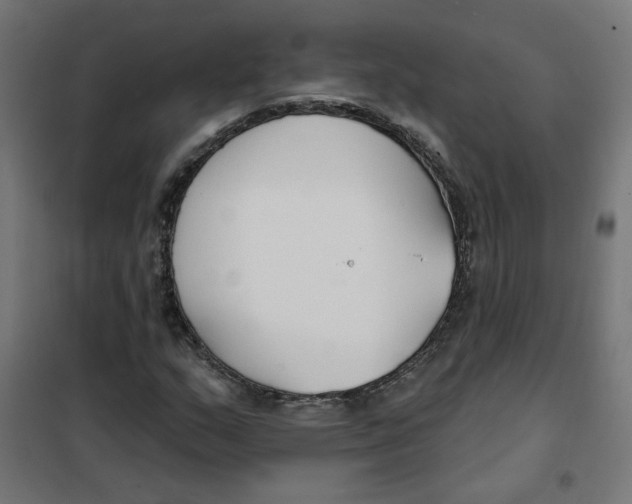 X0000101181159200807250933