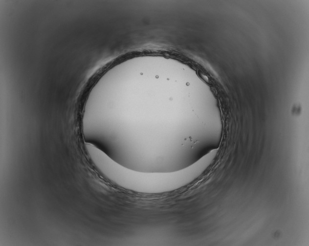 X0000101181160200807250933