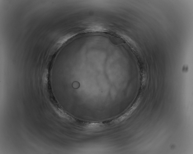 X0000101181161200807250933