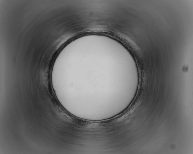 X0000101181162200807250933