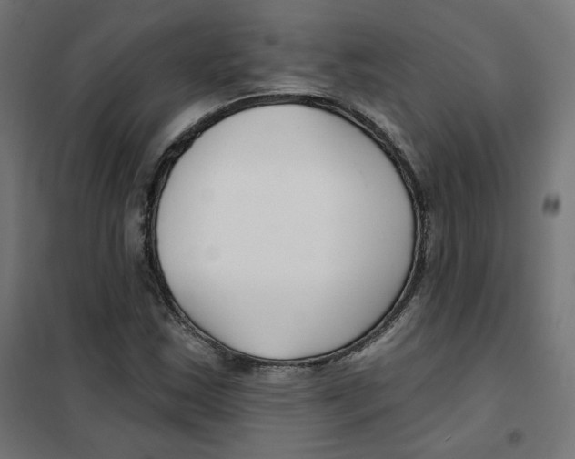 X0000101181163200807250933