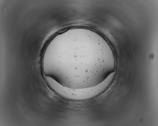 X0000101181164200807250933